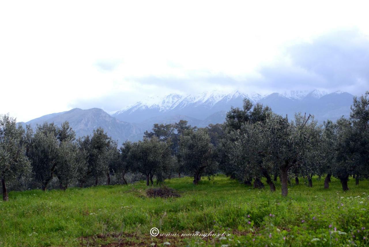 Helen - The Spartan Home מראה חיצוני תמונה